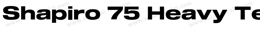 Shapiro 75 Heavy Tex字体转换